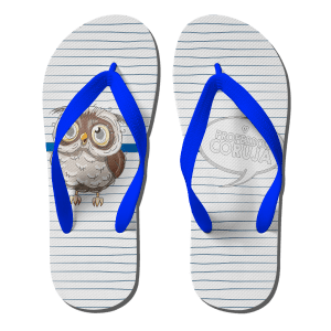 Chinelo Adulto - Professor Coruja